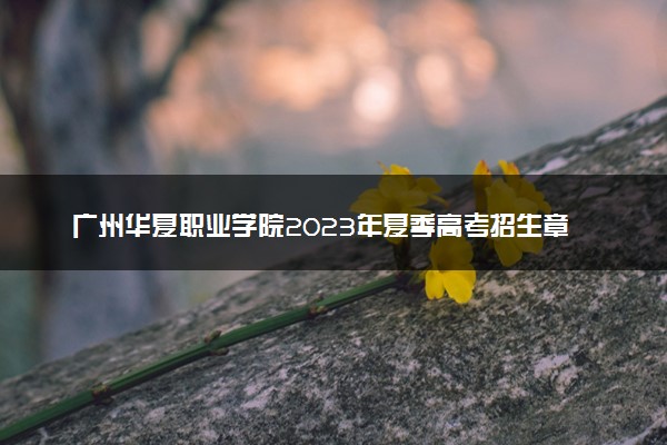 广州华夏职业学院2023年夏季高考招生章程