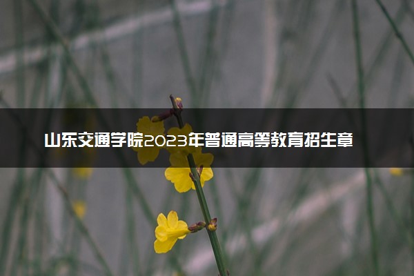 山东交通学院2023年普通高等教育招生章程