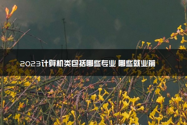 2023计算机类包括哪些专业 哪些就业前景好