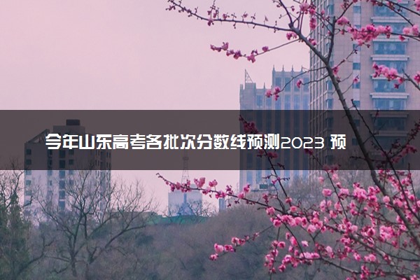 今年山东高考各批次分数线预测2023 预计本专科分数线