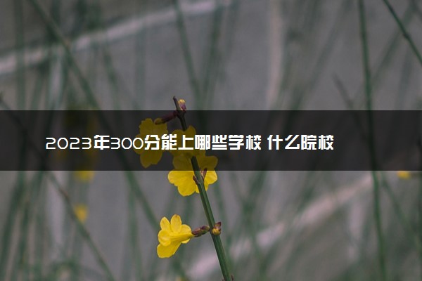 2023年300分能上哪些学校 什么院校比较好