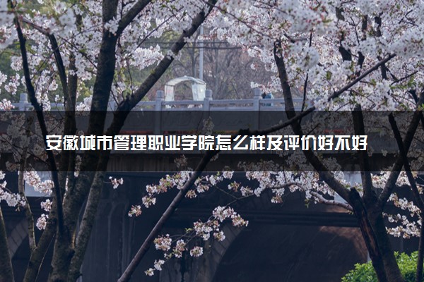 安徽城市管理职业学院怎么样及评价好不好 安徽城市管理职业学院口碑如何