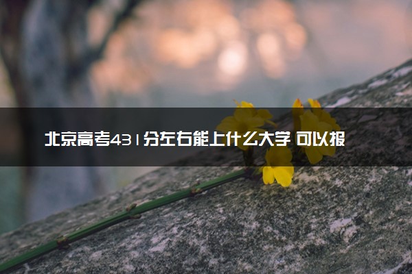 北京高考431分左右能上什么大学 可以报哪些公办院校(2023报考推荐)