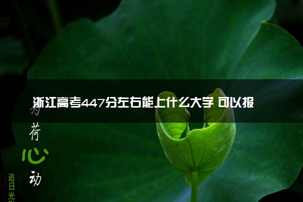 浙江高考447分左右能上什么大学 可以报哪些公办院校(2023报考推荐)