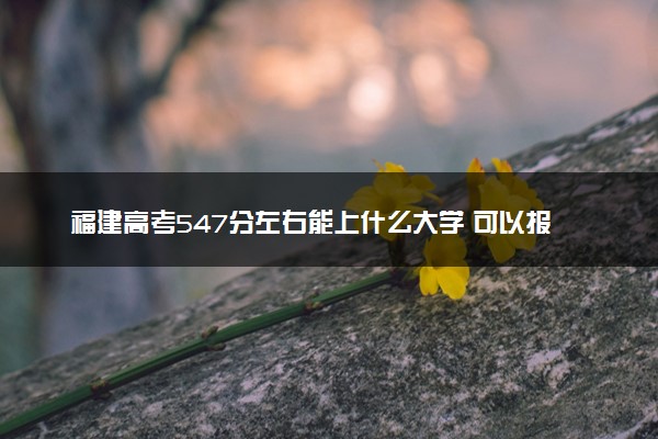 福建高考547分左右能上什么大学 可以报哪些公办院校(2023报考推荐)