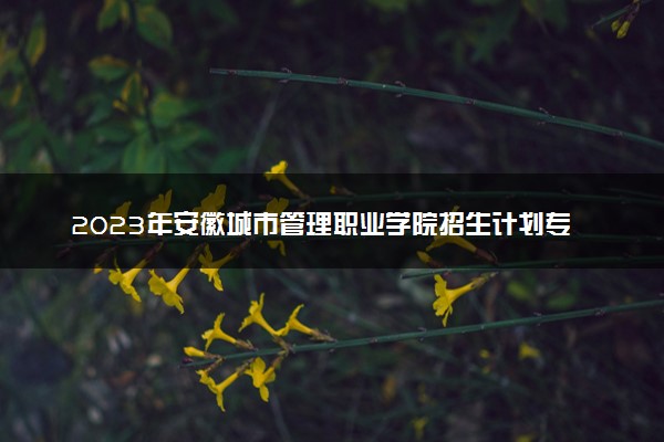 2023年安徽城市管理职业学院招生计划专业及各省录取分数线位次