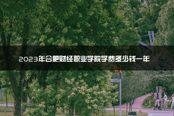 2023年合肥财经职业学院学费多少钱一年及各专业收费标准查询 大约需要多少费用