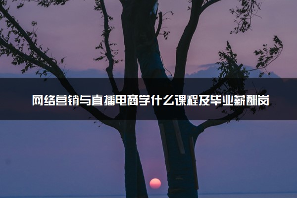 网络营销与直播电商学什么课程及毕业薪酬岗位去向 就业前景怎么样