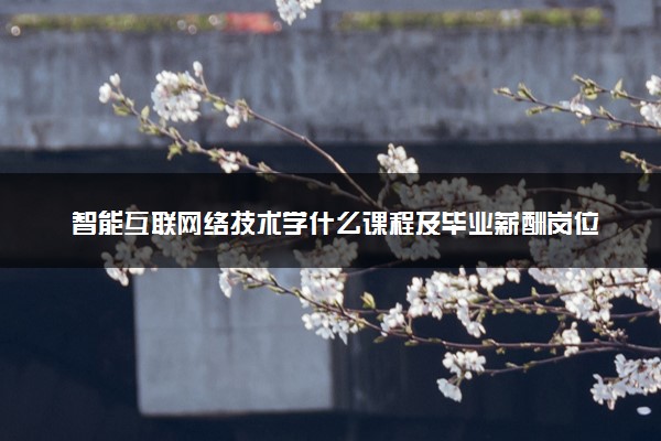 智能互联网络技术学什么课程及毕业薪酬岗位去向 就业前景怎么样