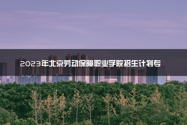 2023年北京劳动保障职业学院招生计划专业及各省录取分数线位次