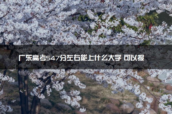 广东高考547分左右能上什么大学 可以报哪些公办院校(2023报考推荐)