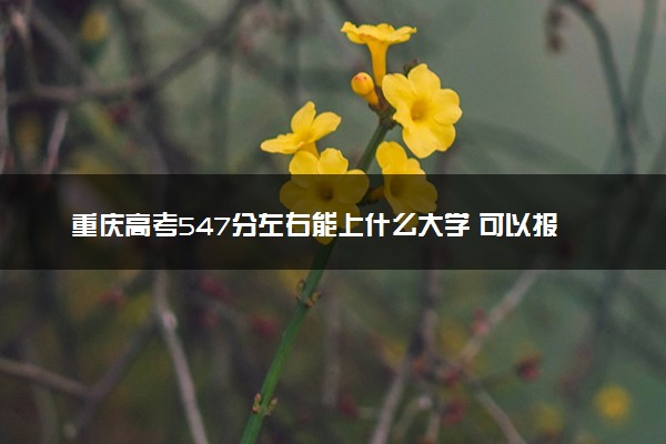 重庆高考547分左右能上什么大学 可以报哪些公办院校(2023报考推荐)