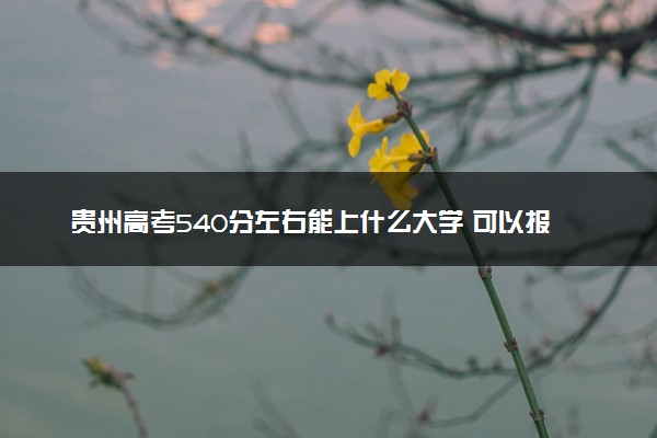 贵州高考540分左右能上什么大学 可以报哪些公办院校(2023报考推荐)