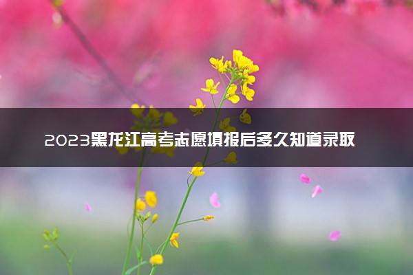 2023黑龙江高考志愿填报后多久知道录取结果 怎么查录取状态