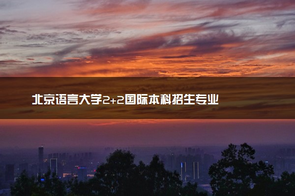 北京语言大学2+2国际本科招生专业
