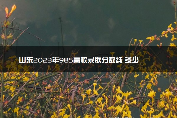 山东2023年985高校录取分数线 多少分能上985大学