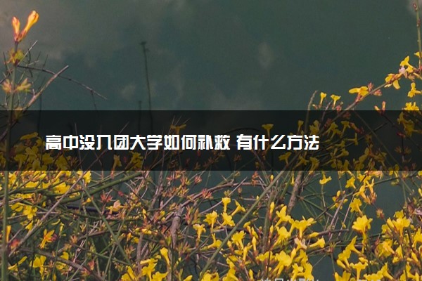 高中没入团大学如何补救 有什么方法