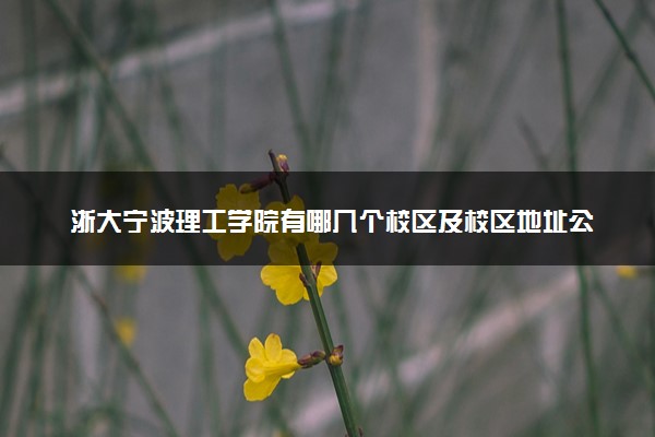 浙大宁波理工学院有哪几个校区及校区地址公交站点 分别都在哪里