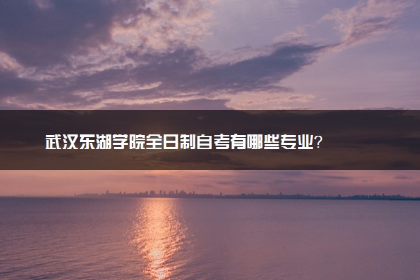 武汉东湖学院全日制自考有哪些专业？