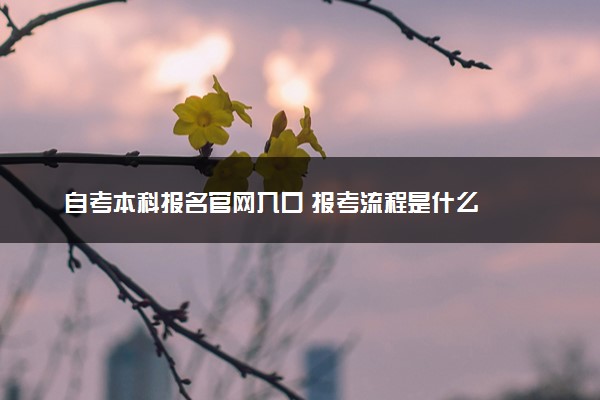 自考本科报名官网入口 报考流程是什么