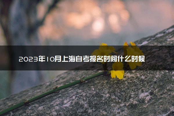 2023年10月上海自考报名时间什么时候 几号截止