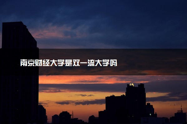 南京财经大学是双一流大学吗