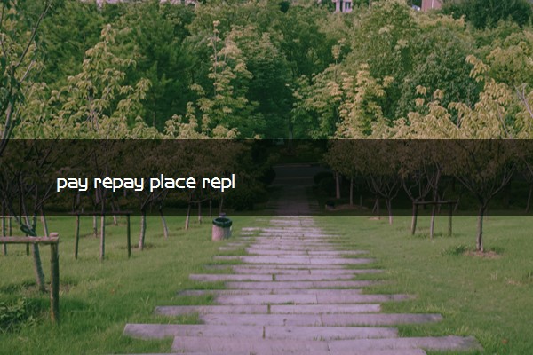 pay repay place replace的区别
