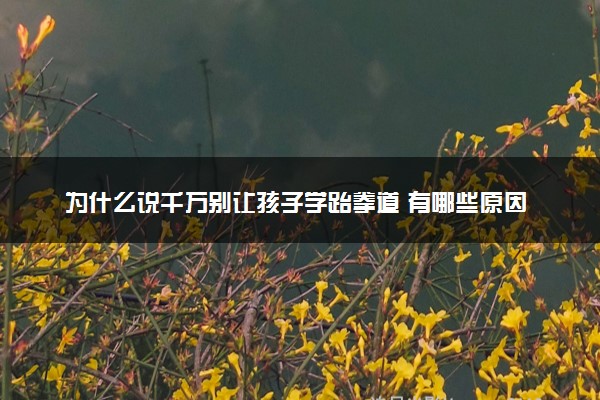 为什么说千万别让孩子学跆拳道 有哪些原因