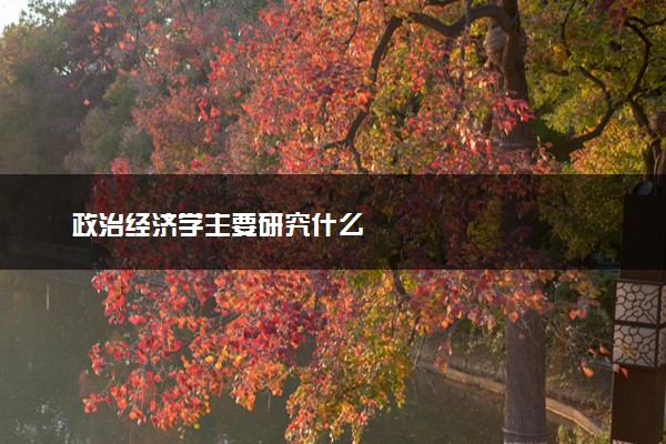 政治经济学主要研究什么