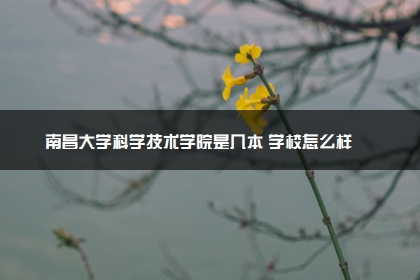 南昌大学科学技术学院是几本 学校怎么样