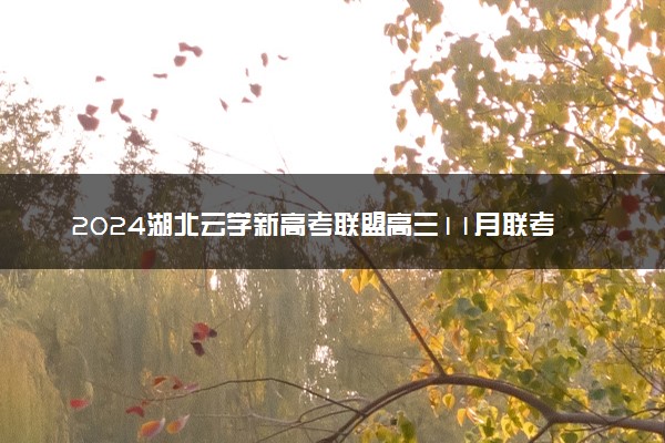 2024湖北云学新高考联盟高三11月联考各科试题及答案汇总