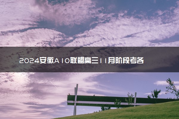 2024安徽A10联盟高三11月阶段考各科试题及答案汇总