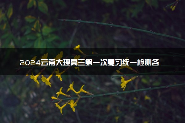 2024云南大理高三第一次复习统一检测各科试题及答案汇总