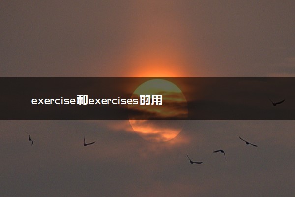 exercise和exercises的用法