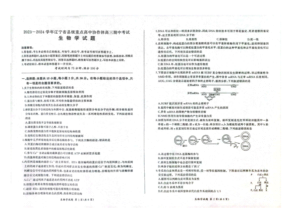 辽宁省县级重点高中协作体2023-2024学年高三上学期期中考试 生物