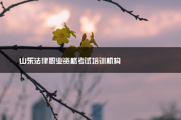 山东法律职业资格考试培训机构