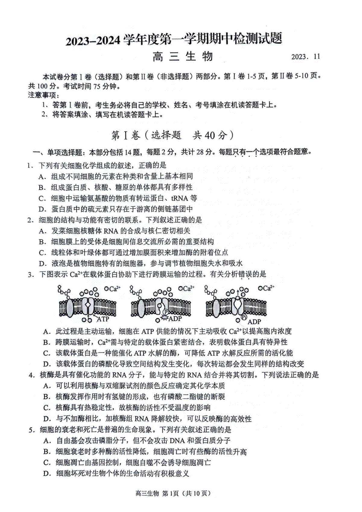 江苏省扬州市2023-2024学年高三上学期11月期中生物