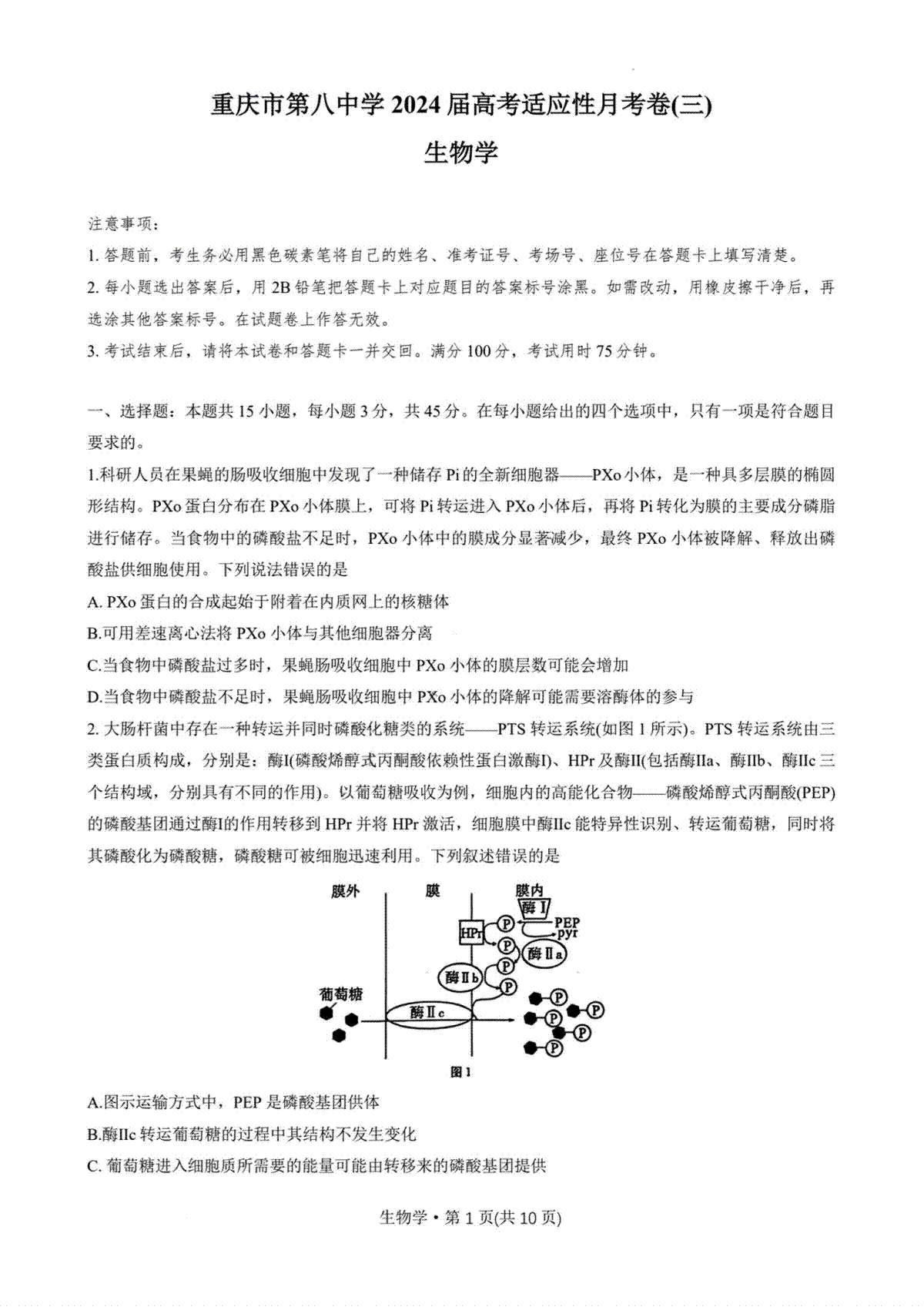 2024重庆八中高考适应性月考卷（三）生物