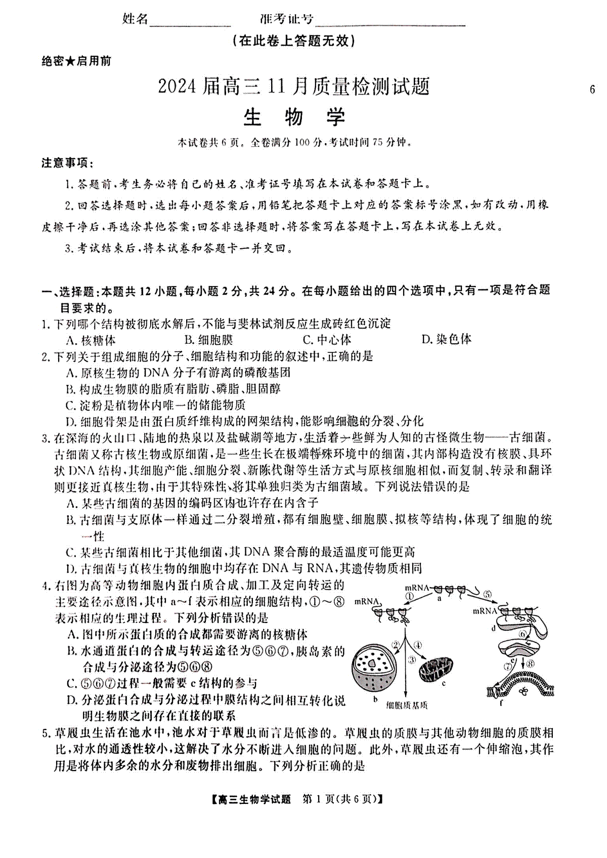 湖南省衡阳市2023-2024年高三上学期11月联考生物