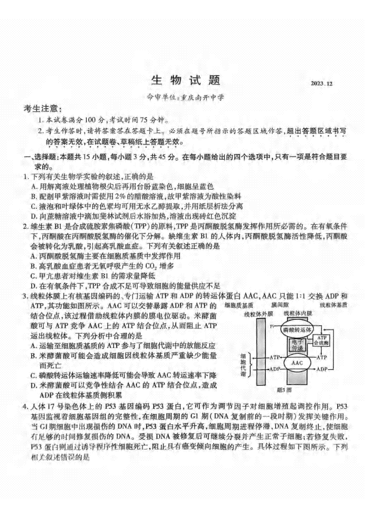 2024届重庆市南开中学高三第四次质量检测 生物