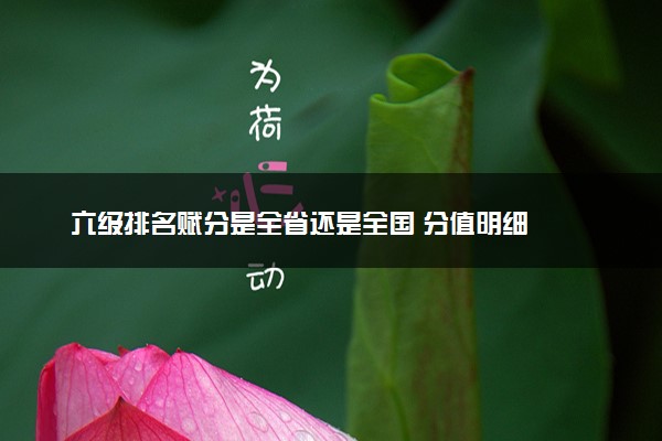 六级排名赋分是全省还是全国 分值明细