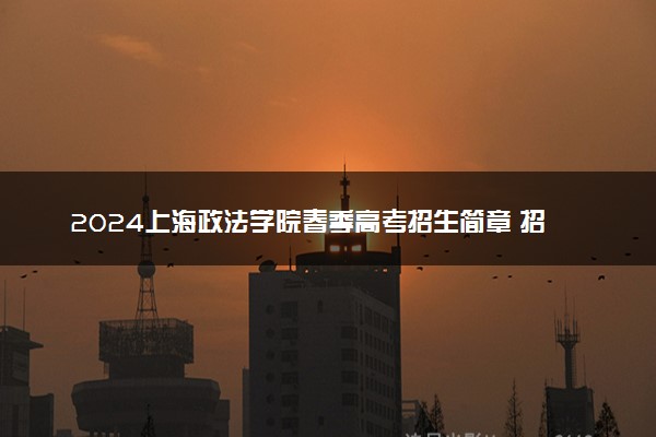2024上海政法学院春季高考招生简章 招生专业及计划