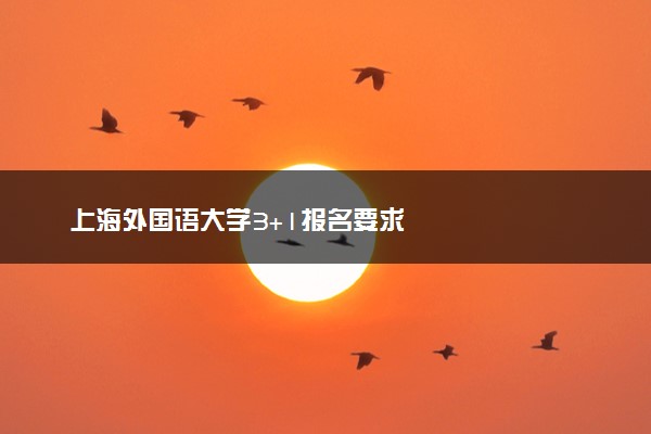 上海外国语大学3+1报名要求