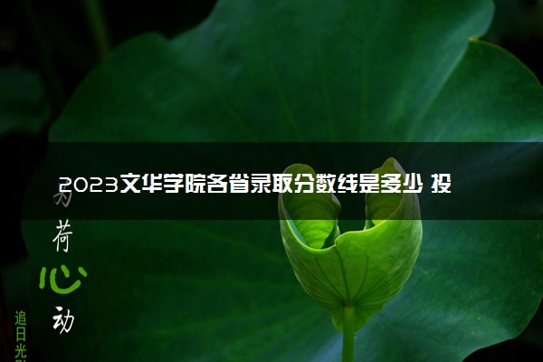 2023文华学院各省录取分数线是多少 投档最低分及位次