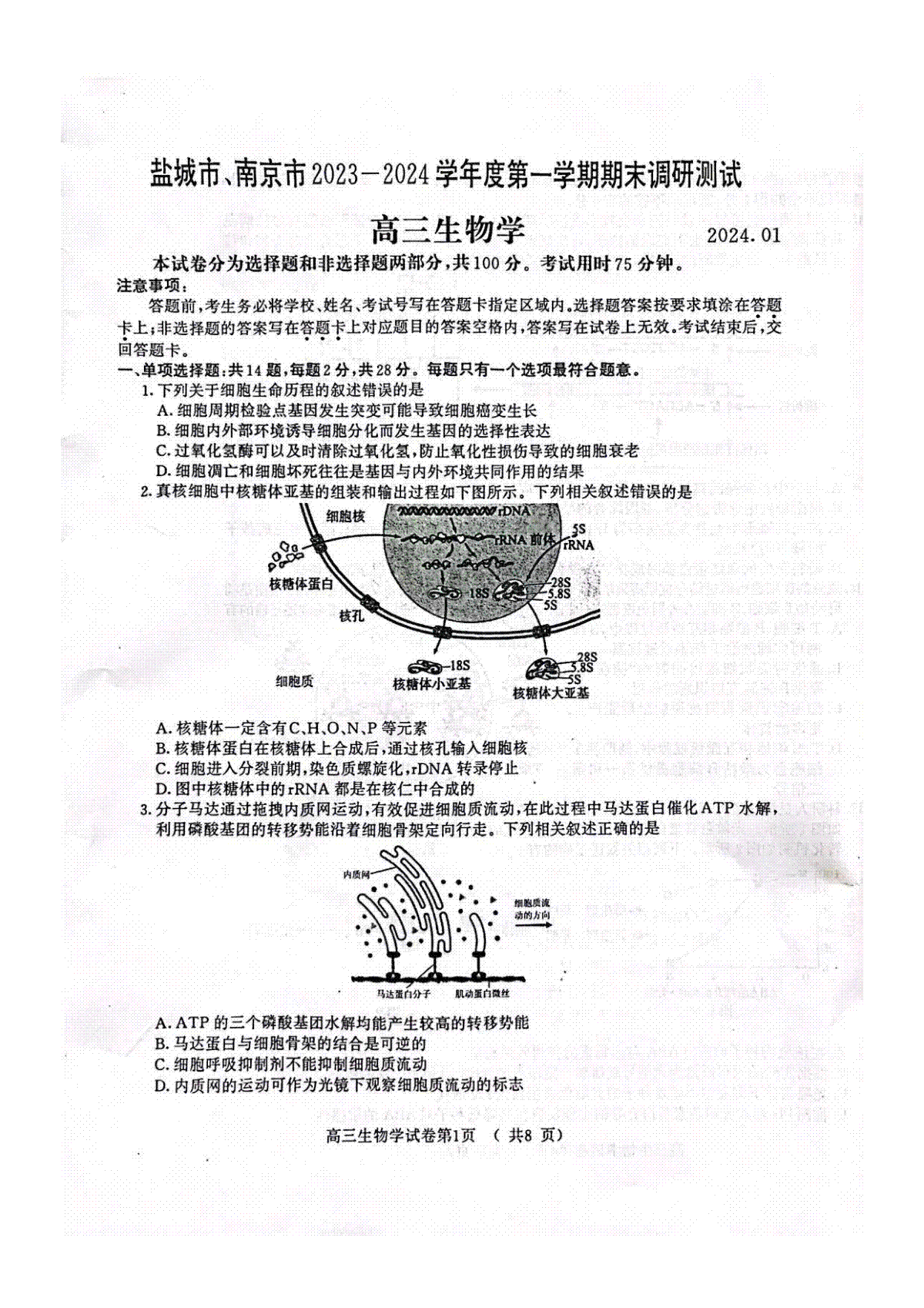 生物-2024届江苏南京市、盐城市高三上学期第一次模拟考