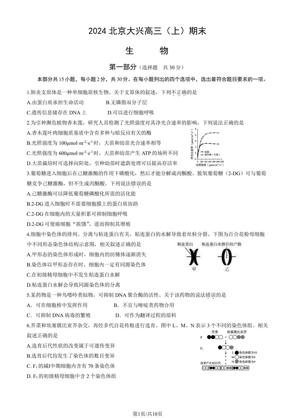 2023-2024学年北京大兴区高三期末生物试题及答案