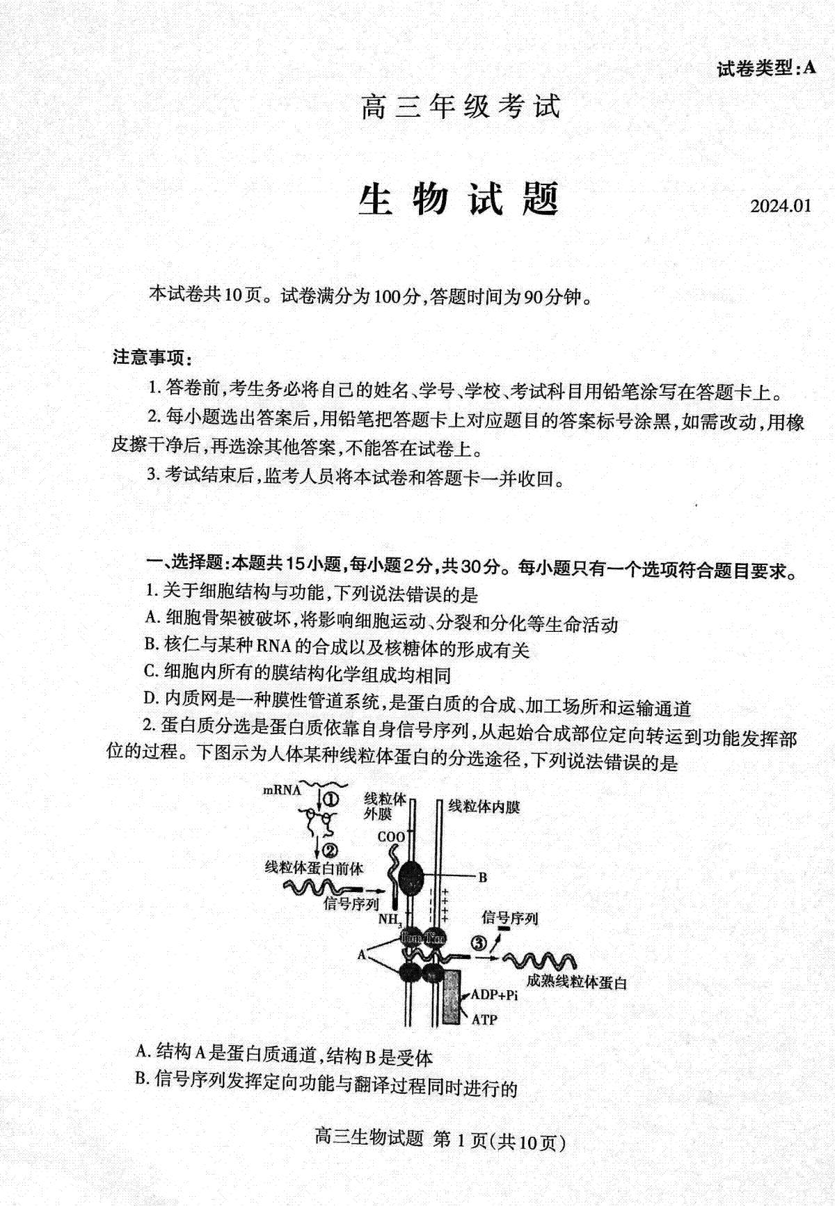 山东省泰安市2023—2024学年高三上学期期末考试生物试题