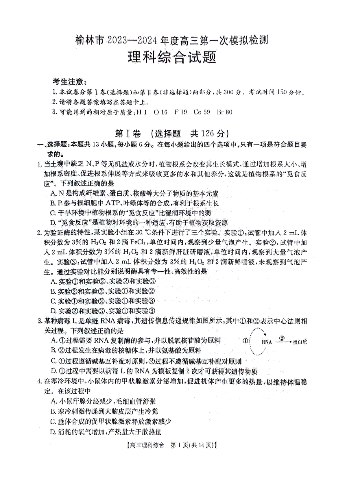 2024届陕西省榆林市高三上学期第一次模拟检测理综试题