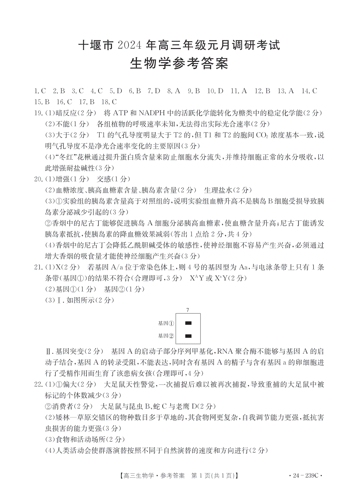 湖北省十堰市2023-2024学年高三上学期期末考试生物答案