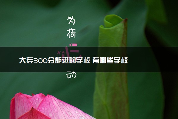 大专300分能进的学校 有哪些学校